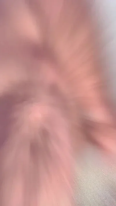 Cougar's Suck & Fuck - She Swallows a Load of Cum