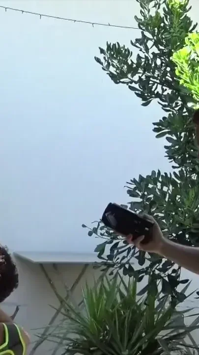 Video with Marco Rusk used raw by in park by 2 boys