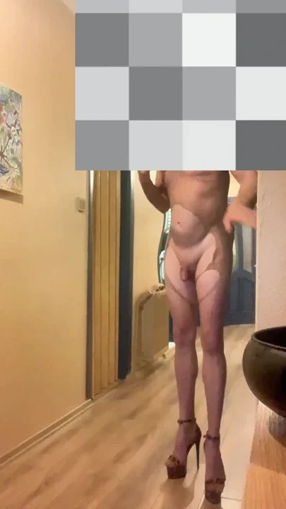 I showed my dick to the pizza delivery guy Clip 2