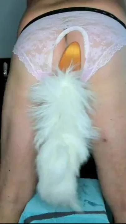 My new Tail is deeply and firmly anchored