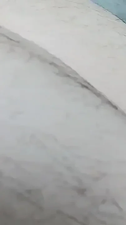 Little Hairy Closeup