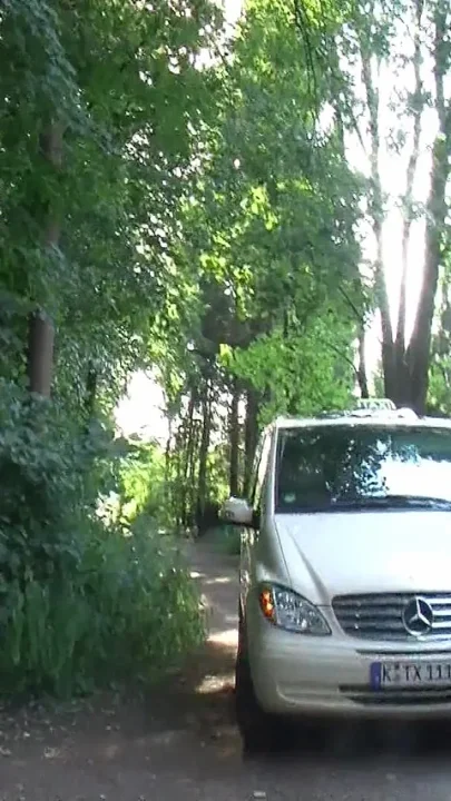 Taxi Rosebud Prolapse Tease - Gaping Anal Popping Out Wet