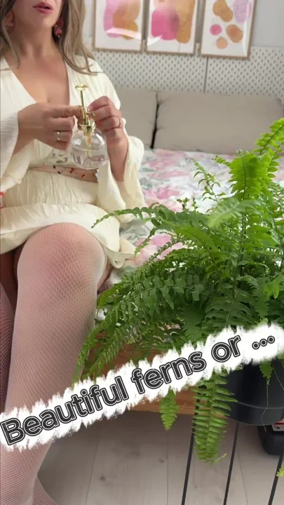 The lady of the house cares for her ferns as she does for her big body