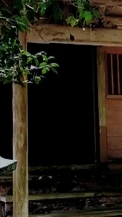 Japanese Local Shrine and Pai-chan