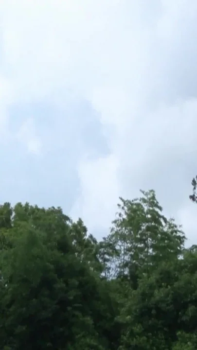 It Was a Lovely Day Outside and Many Bitches Were Waiting to Get Fucked Hard
