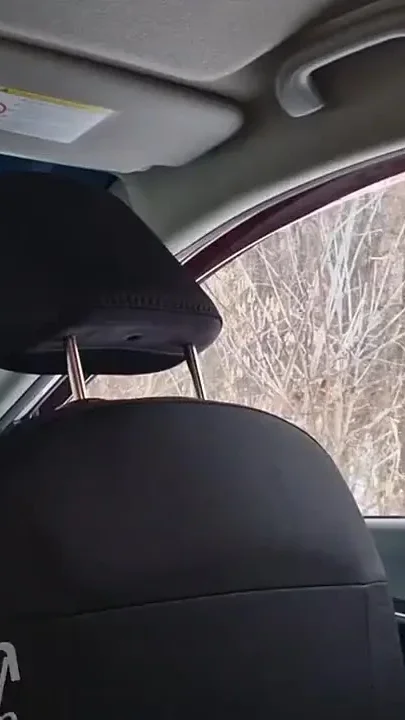 An Inept Student Screams From Daddy's Big Dick in His Ass Jumping Into the Pose