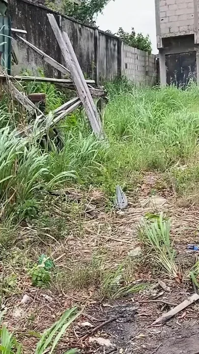 Me and My Hommie Fucked Her so Well