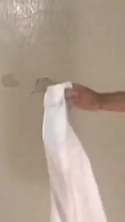 Two boxers fucking in the sport room