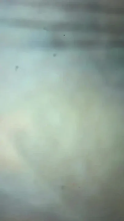 Spectacular moment from 