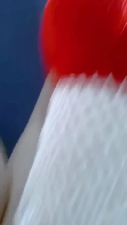 Val Pervert Guy Smashes in the Ass of a Tackiness