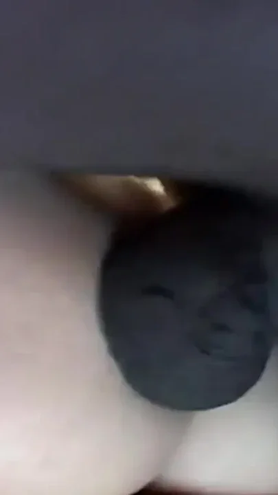 Wild Innocence in Heat Clip 3