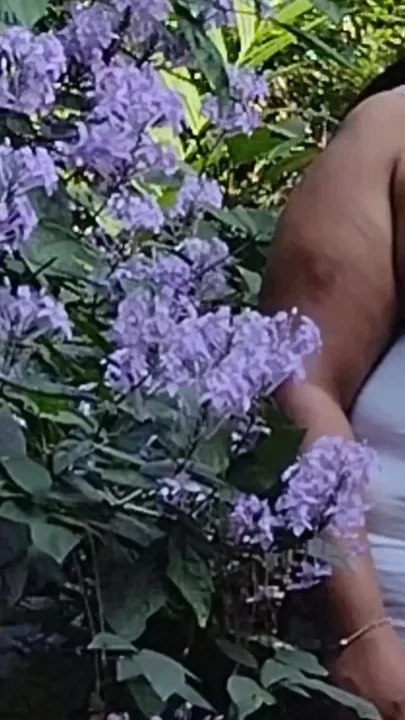 Beautiful Desi Girl Getting Nude Outside in the Garden