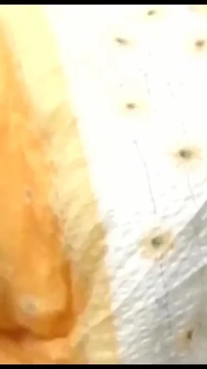Nympho Bitch Getting Her Holes Stretched Wide Open