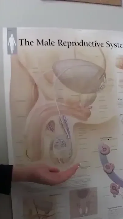 Misbehaved teens caught smoking and fucked by teacher in detention