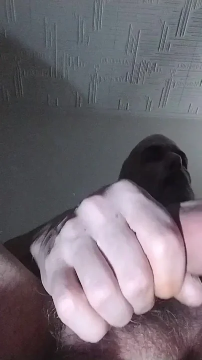 My Cock My Rules