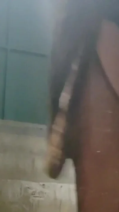 Stepmom fucks stepson in the basement and elevator after nice dinner