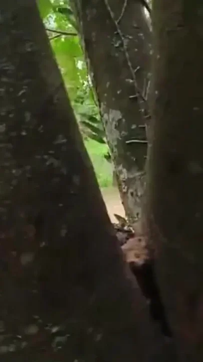 I Went to the Lagoon to Take a Piss and Masturbate