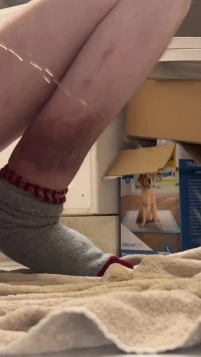 Squatting and Powerful Pissing With Big Hard Dick Compilation 1 Clip 1