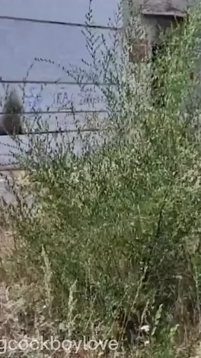 A Military Twink Hooligan with Torn Underwear Gets Hot Fucked in the Army