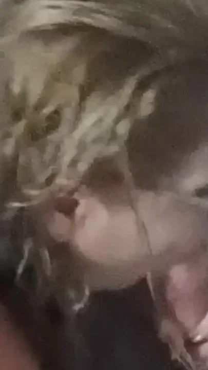 Taking a gush in the mouth Clip 1