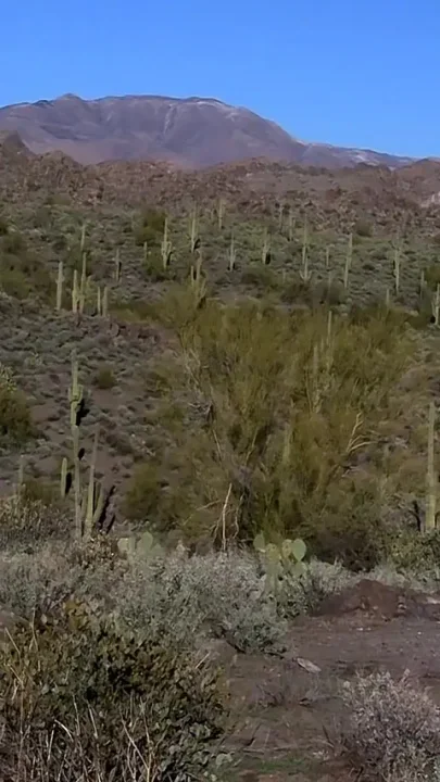 Wanking Out in the Wilderness