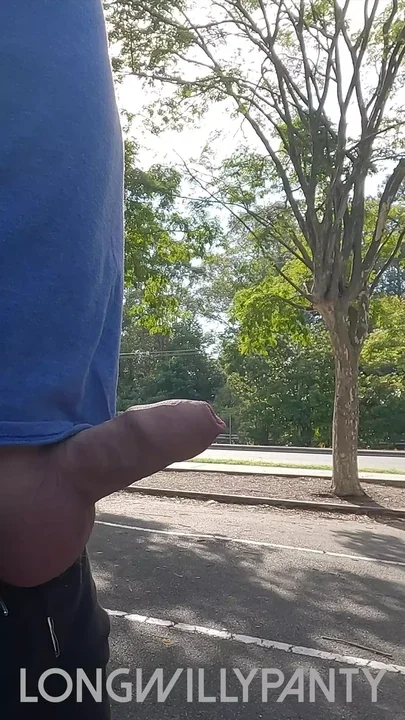 Amateur straight guy flashes his cock next to the busy road