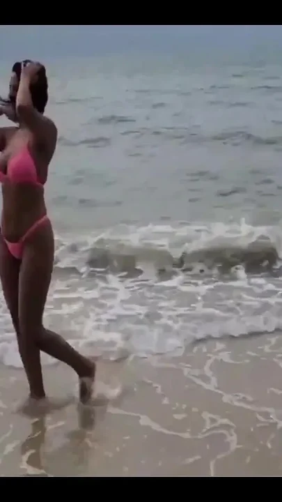 I Met Two Cats on the Beach and Made Out with Them Right There