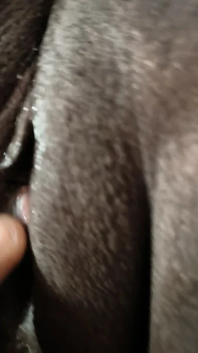 Finger fuck pussy aunty