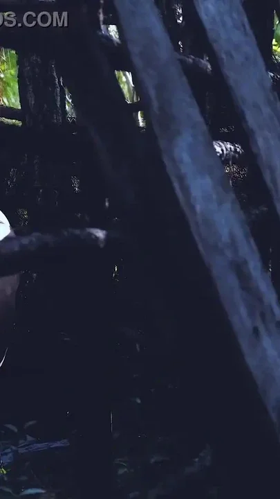 The Lake Clip 2