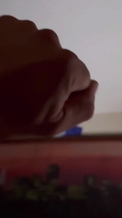 Thrilling moment from 