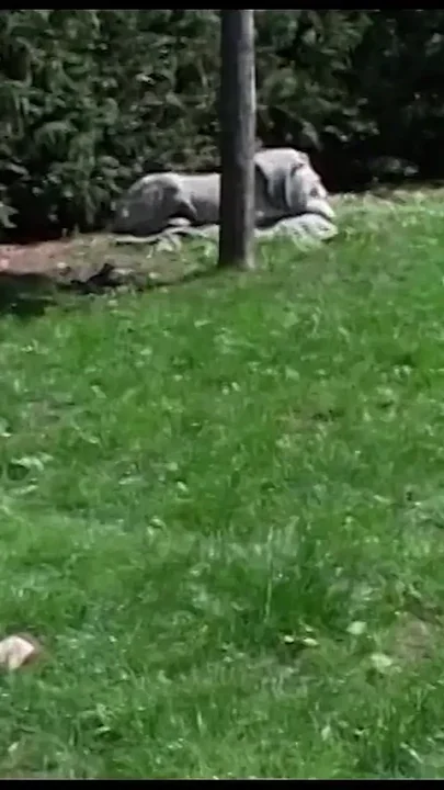 Hot Threesome Pussy Pounding with Friend
