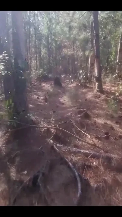 A Tourist Lost in the Woods Is Forced to Have Sex with a Witch to Avoid Being