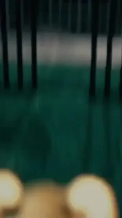 Harley Quinn Prison Sex