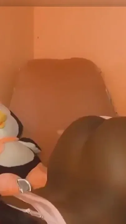 Plush Puss I just be horny y'all lol cumshots moaning bulge selfsuck dido riding