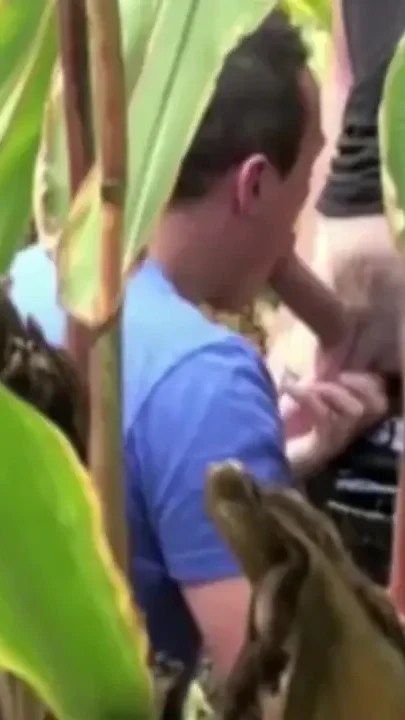 Slut fucked in exhib cruising campaign