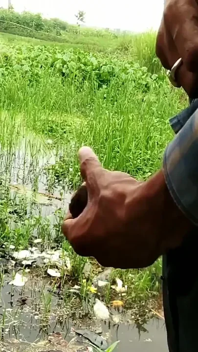 Indian Masturbation in Outdoor Handjob Cumshotot