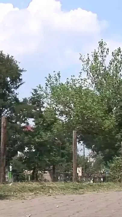 Cougars in Heat for Big Cocks