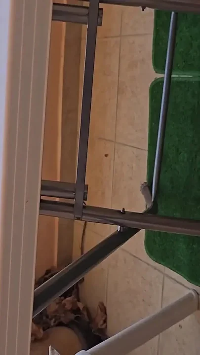 I Bust My Nymphomaniac Stepsister's Ass on the Balcony of the Amateur Hotel