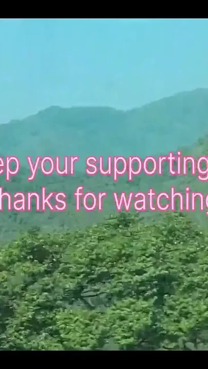 Jungle Love