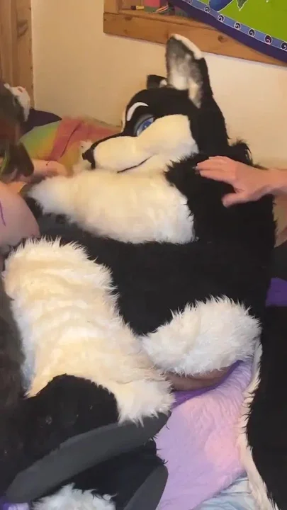 Furry Love - Cliff Media Productions Clip 1