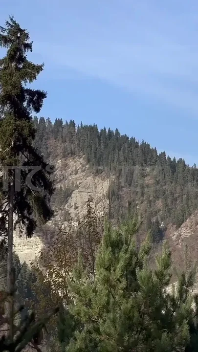 Wild Fucking of Shamans in the Mountains