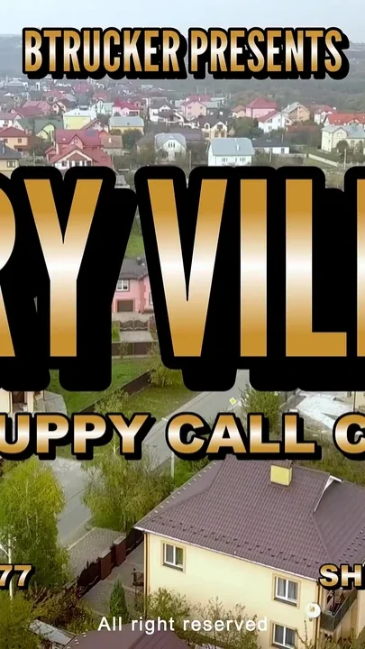 Furry Village the Puppy Call Center