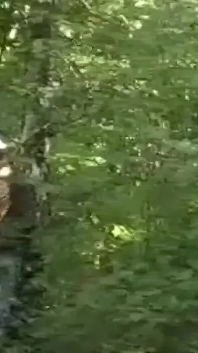 Slut fucked with sneakers humiliaiton in parc by arab with xxl cock