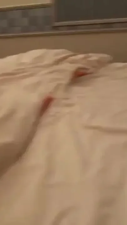 Asian Angel 27814