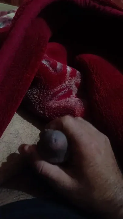 Suck my cock anyone