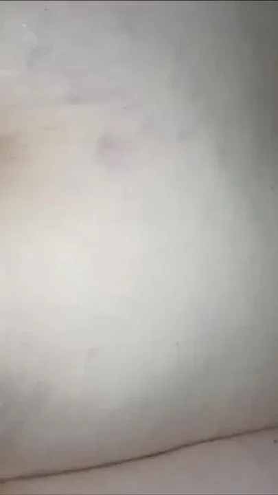 MILF with big round booty does anal Clip 3