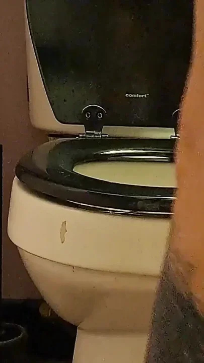 Reverse Dirty Toilet Farts and Ass Spreading