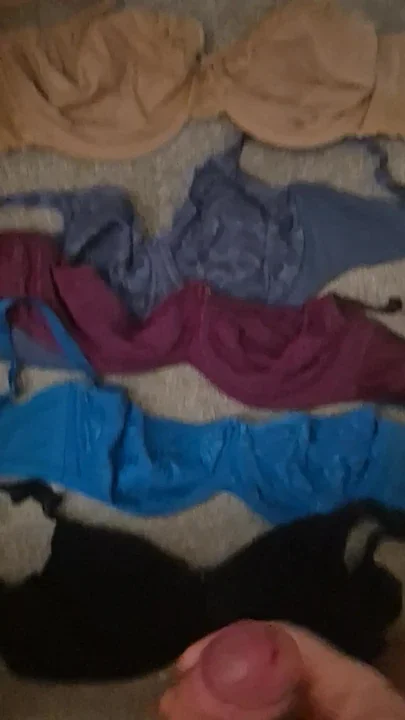 Wanking over my 34gg sister in laws bras