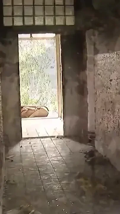 Hot Cocks for a Slutty Whore Horny DP Vol 2