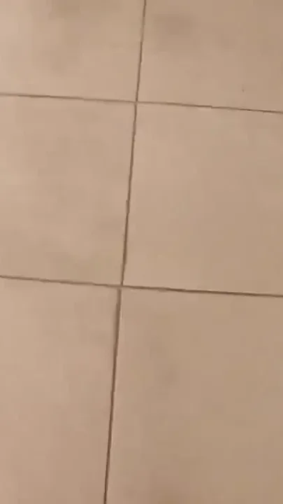 Sucked a Dick in a Public Toilet